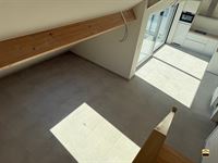 Appartement - TONGEREN-BORGLOON