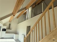 Appartement - TONGEREN-BORGLOON