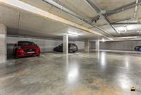 Appartement - TONGEREN-BORGLOON