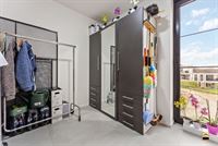 Appartement - TONGEREN-BORGLOON