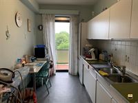 Appartement - TONGEREN-BORGLOON