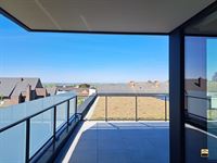 Appartement - TONGEREN-BORGLOON