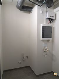 Appartement - TONGEREN-BORGLOON