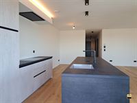 Appartement - TONGEREN-BORGLOON