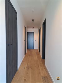 Appartement - TONGEREN-BORGLOON