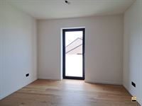 Appartement - TONGEREN-BORGLOON