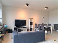 Appartement - TONGEREN-BORGLOON