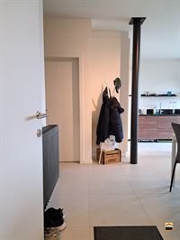 Appartement - TONGEREN-BORGLOON