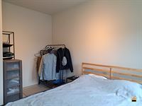 Appartement - TONGEREN-BORGLOON