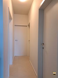 Appartement - TONGEREN-BORGLOON