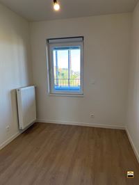 Appartement - TONGEREN-BORGLOON