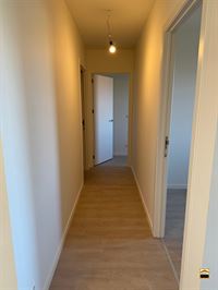 Appartement - TONGEREN-BORGLOON