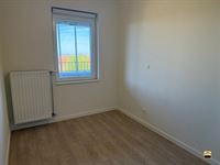 Appartement - TONGEREN-BORGLOON