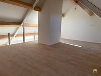 Appartement - TONGEREN-BORGLOON