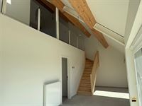 Appartement - TONGEREN-BORGLOON