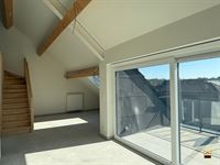 Appartement - TONGEREN-BORGLOON