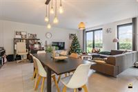 Appartement - TONGEREN-BORGLOON