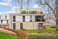 Appartement - TONGEREN-BORGLOON