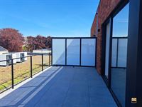 Appartement - TONGEREN-BORGLOON