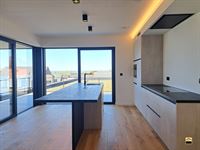 Appartement - TONGEREN-BORGLOON