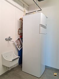 Appartement - TONGEREN-BORGLOON