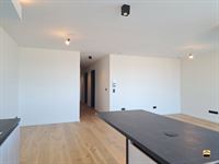 Appartement - TONGEREN-BORGLOON