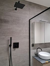 Appartement - TONGEREN-BORGLOON