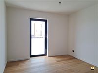 Appartement - TONGEREN-BORGLOON