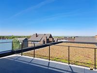 Appartement - TONGEREN-BORGLOON