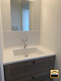 Appartement - TONGEREN-BORGLOON