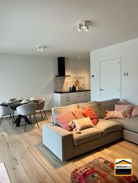Appartement - TONGEREN-BORGLOON