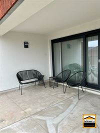 Appartement - TONGEREN-BORGLOON