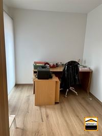 Appartement - TONGEREN-BORGLOON