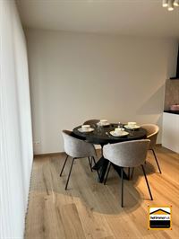 Appartement - TONGEREN-BORGLOON