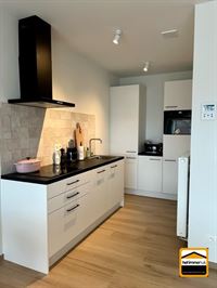 Appartement - TONGEREN-BORGLOON
