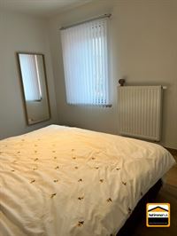 Appartement - TONGEREN-BORGLOON