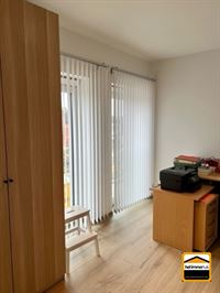 Appartement - TONGEREN-BORGLOON