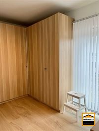 Appartement - TONGEREN-BORGLOON