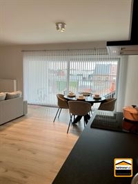 Appartement - TONGEREN-BORGLOON