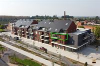 Appartement - TONGEREN-BORGLOON