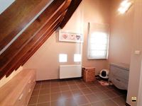 Appartement - TONGEREN-BORGLOON