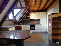 Appartement - TONGEREN-BORGLOON