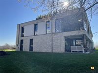 Appartement - TONGEREN-BORGLOON