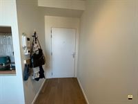 Appartement - HASSELT