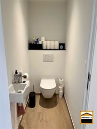 Appartement - TONGEREN-BORGLOON