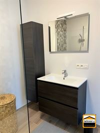 Appartement - TONGEREN-BORGLOON