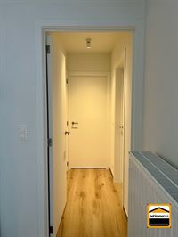 Appartement - TONGEREN-BORGLOON