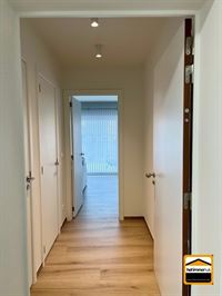Appartement - TONGEREN-BORGLOON