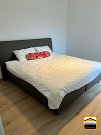 Appartement - TONGEREN-BORGLOON