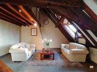 Appartement - TONGEREN-BORGLOON